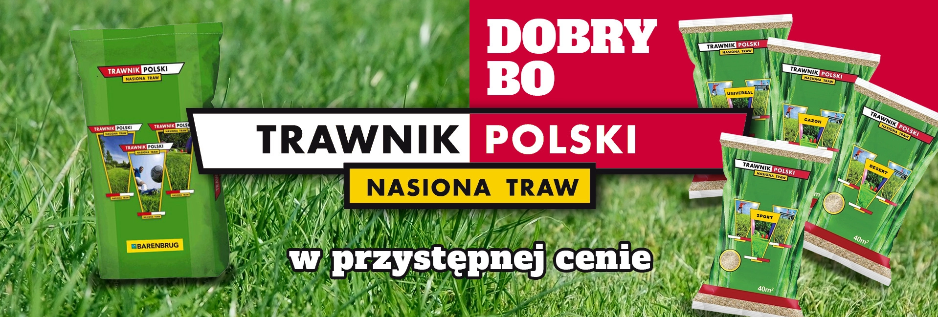 Nasiona Trawnik Polski